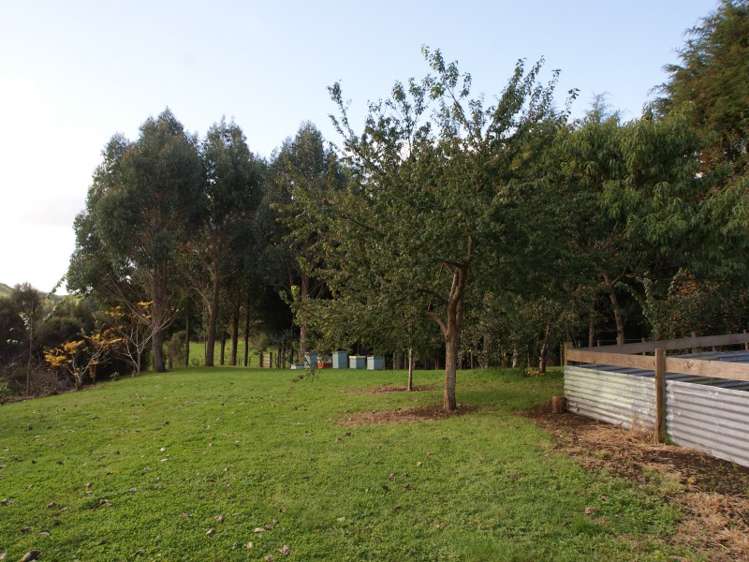 565 Mangaparo Road Ohura_10