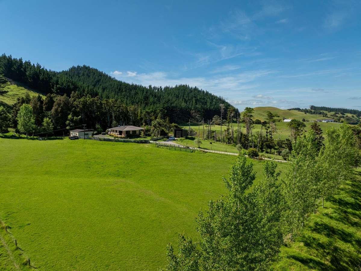 1325 Paparoa-Oakleigh Road_1