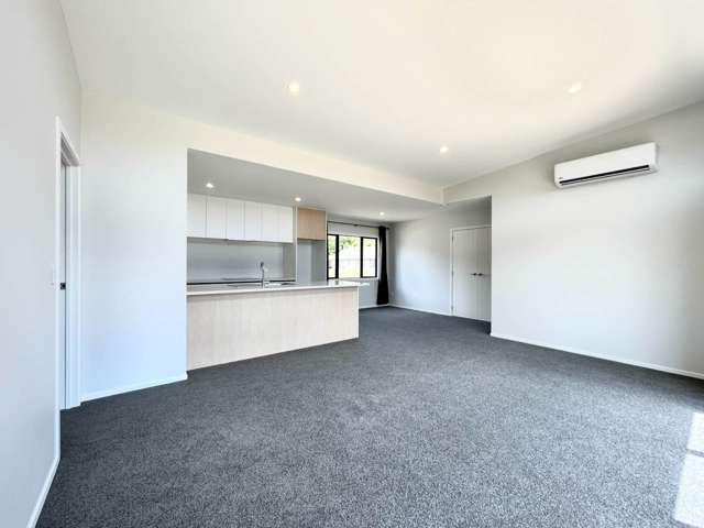 3A McShane Street Pukekohe_3