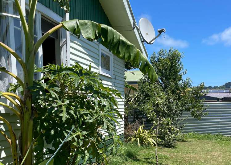 65 Daphne Street Outer Kaiti_8