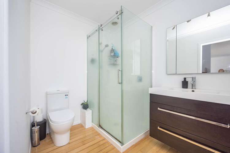 29 Wharepuhunga Road Otorohanga_13