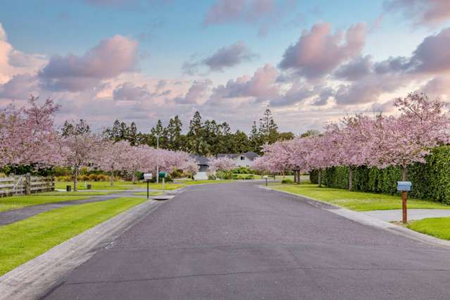 18 Pathways Drive Kerikeri_4