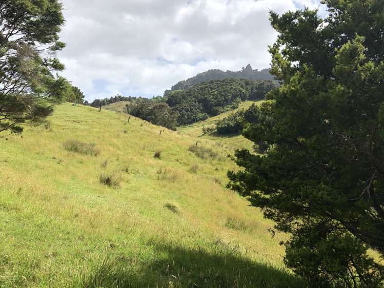 3609 State Highway 10 Kaeo_7