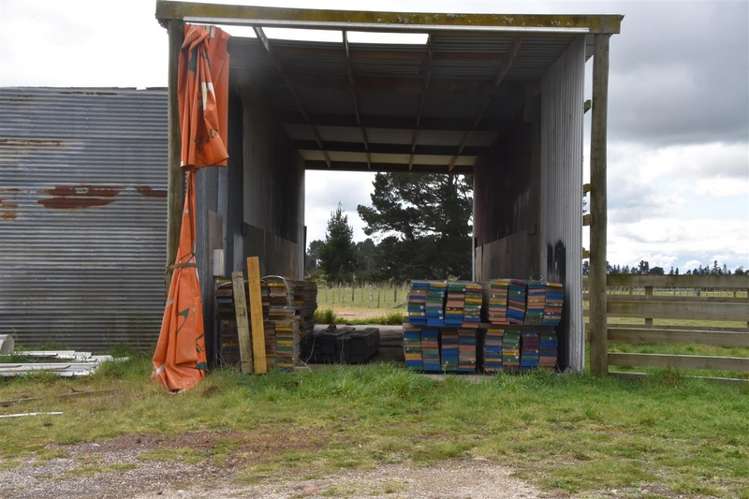 63 Tiverton Downs Road Broadlands_19