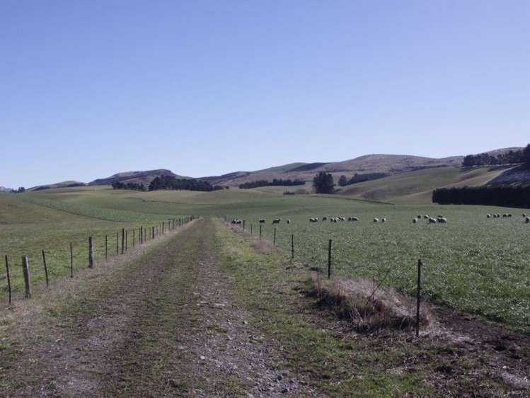 211a Mouse Point Road Culverden_19