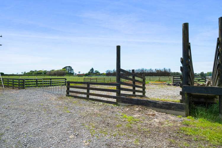 83 Brown Road Waitara_11