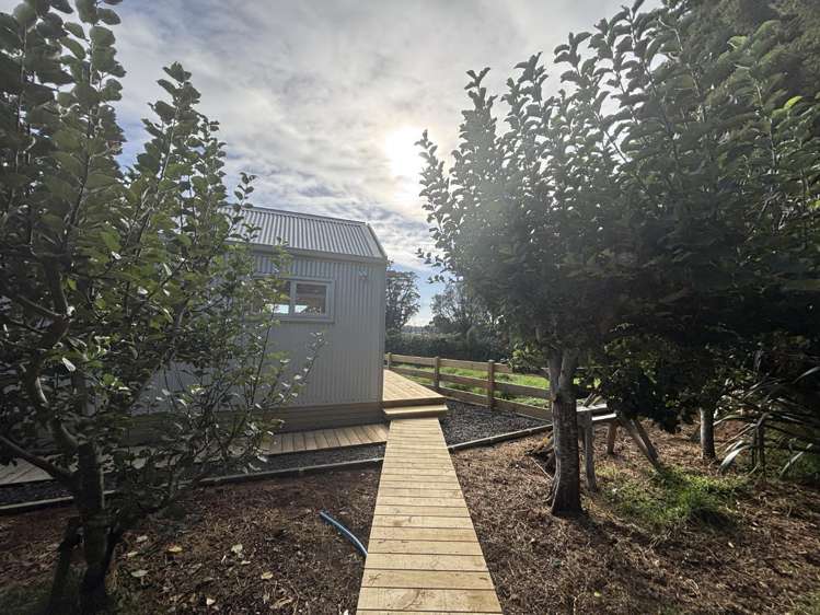 Address withheld Mangorei_11