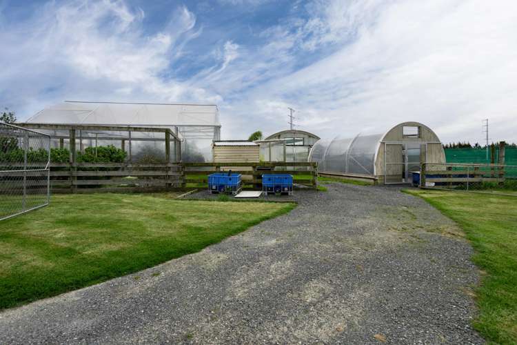 78 East Road Ascot_27