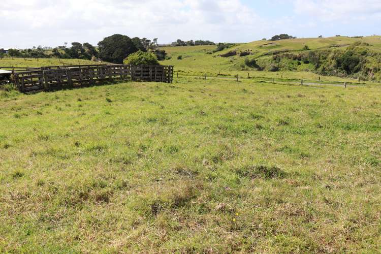 3979 South Road Opunake_10