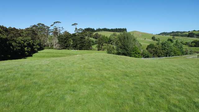 Monowai Road Wainui_1