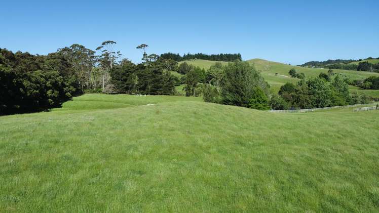 Monowai Road Wainui_1