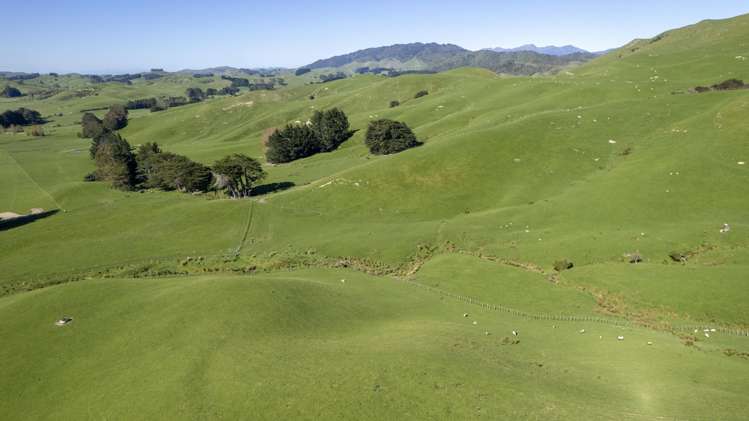 73 Hall Road Eketahuna_7