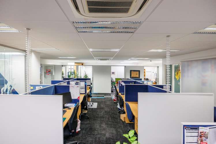 252 Broadway Avenue Palmerston North_13