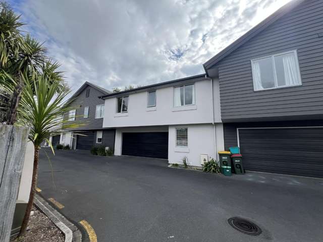 Modern Fully Furnished Three-Bedroom Townhouse with Park Views in Hamilton East