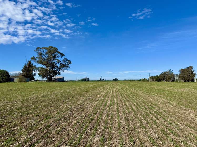 Willowbridge Road Waimate_21