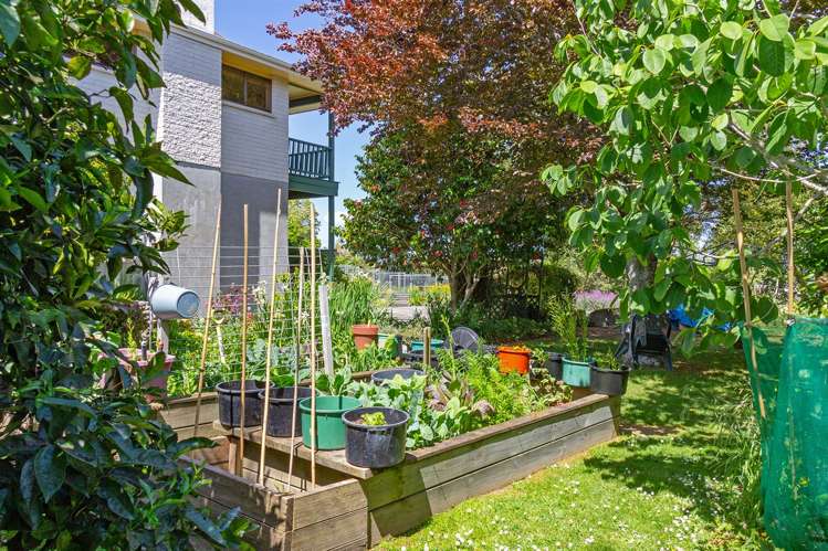 64 Manuka Street Masterton_15