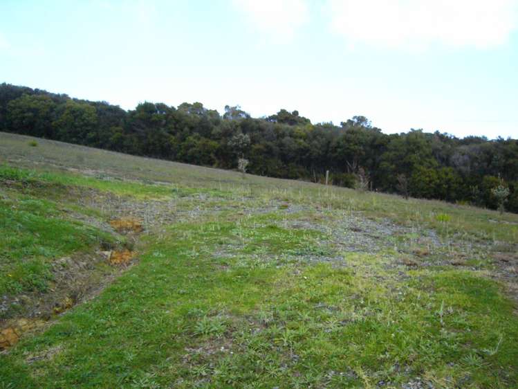 15 Ash Grove Circle Haruru_5