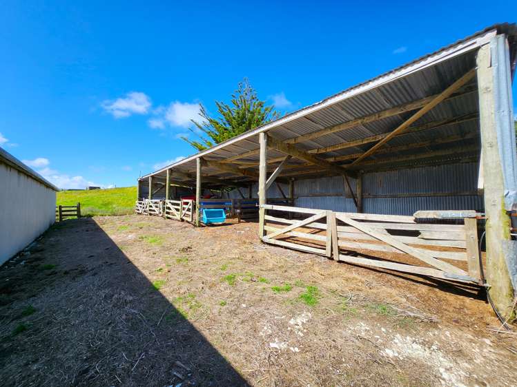796 Mahuta Road Dargaville Surrounds_9