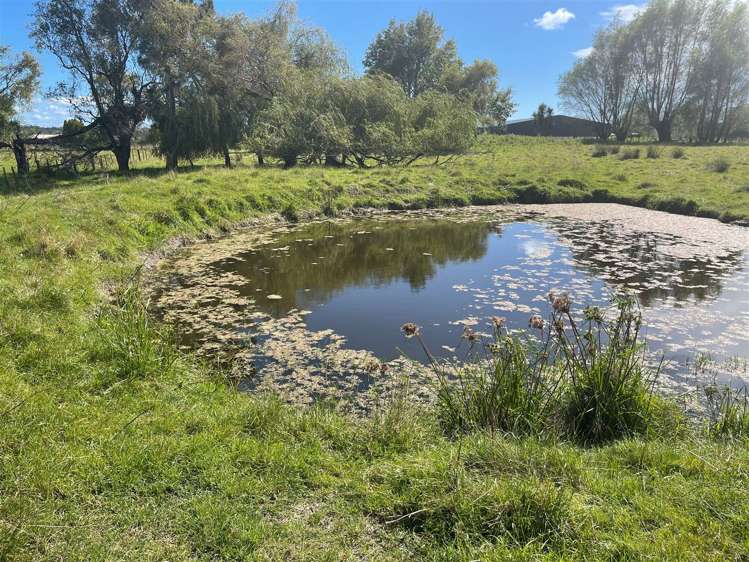 191 Postman Road Dairy Flat_7