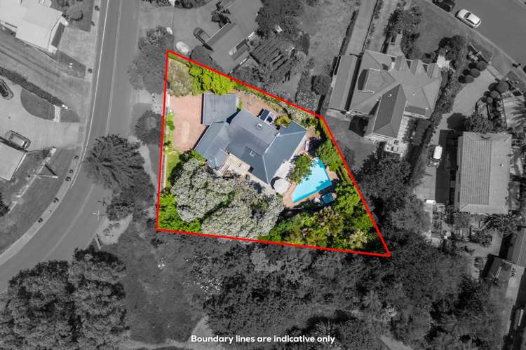 50 Frederick Street Hillsborough_27