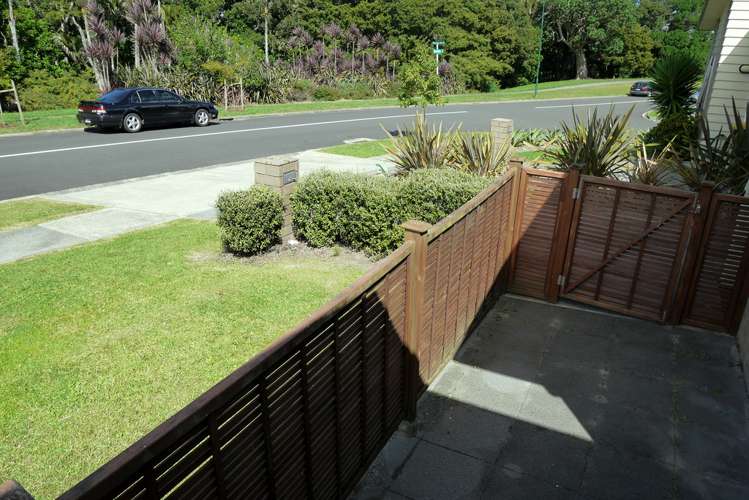 35 Norwood Drive Flat Bush_13