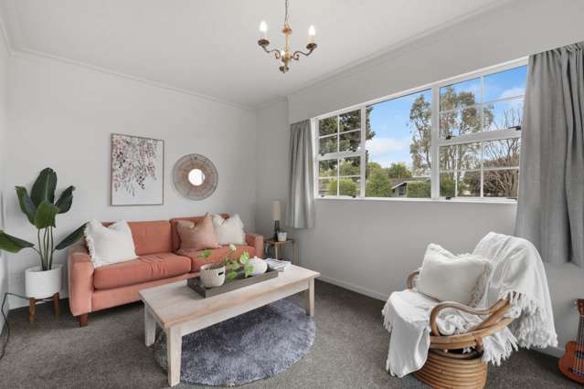 33 Leefield Street Blenheim_2