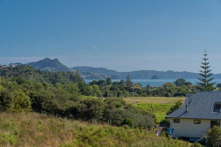 23 Ara Mata Cooks Beach_6