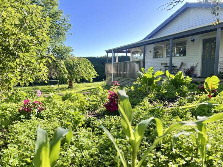 1042 Rangiuru Road Te Puke_14