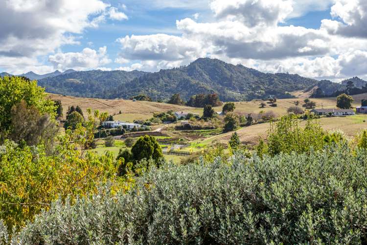 25 Sawmill Road Thames_6