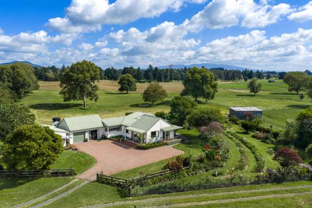 81 McGhie Road Te Awamutu_1