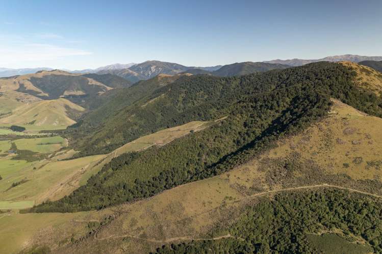 Ashley Gorge Road Oxford_11