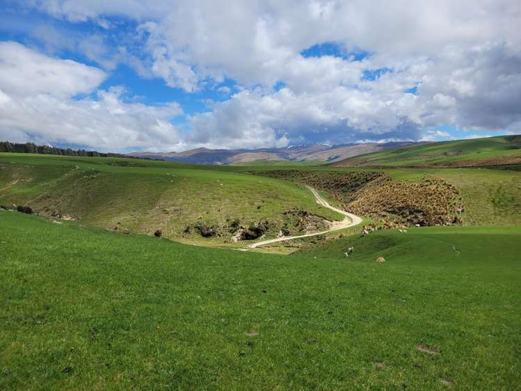 980 Moa Flat Road Moa Flat_11