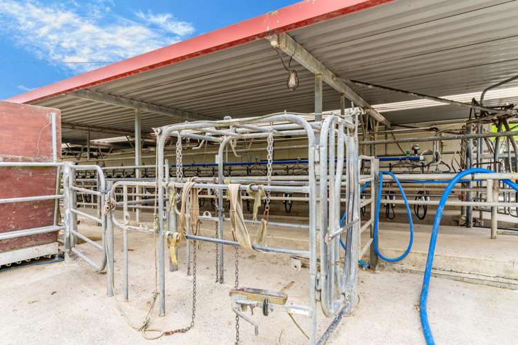 901 Pukehuia Road Tangiteroria_10