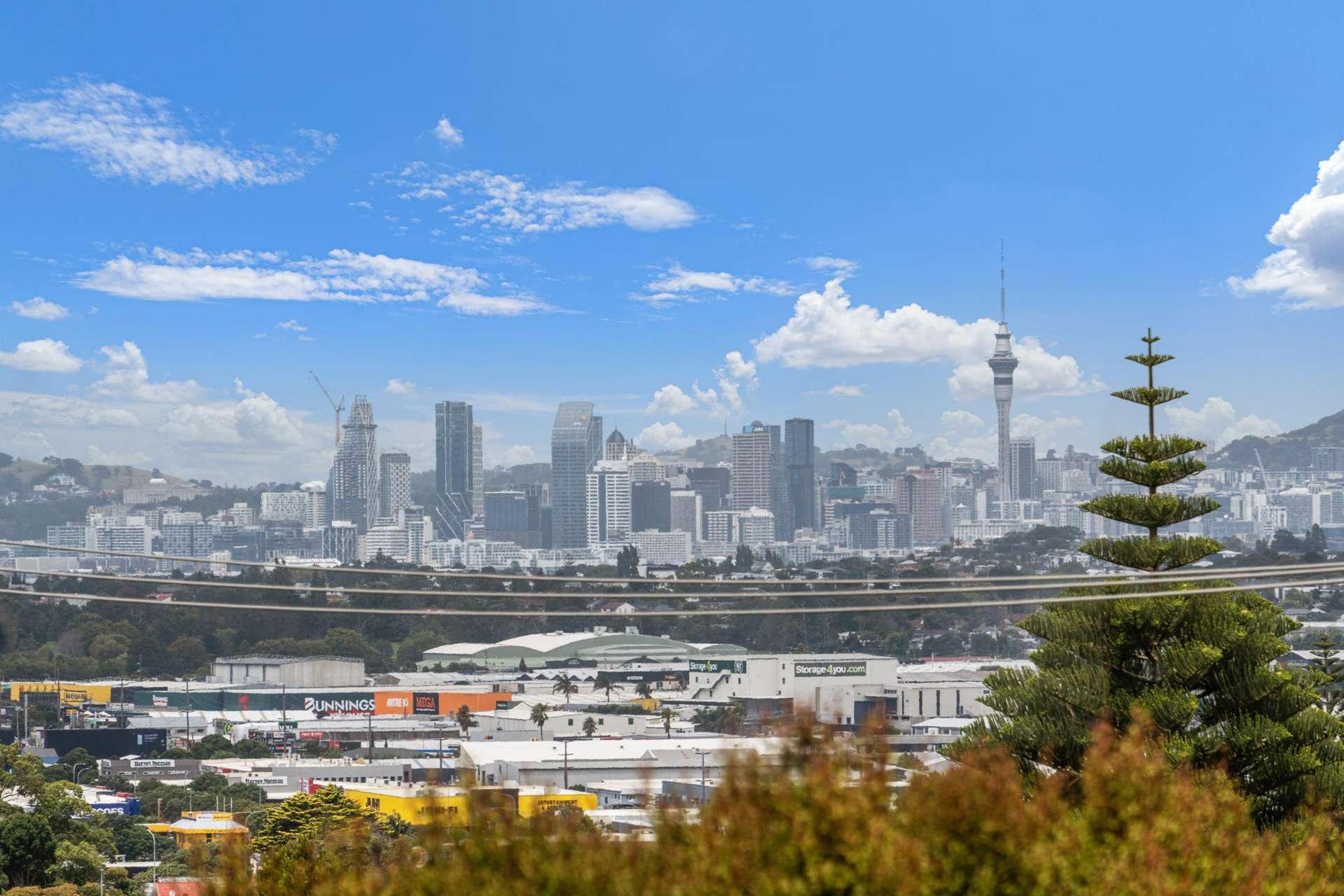 2a Sycamore Drive Sunnynook_0