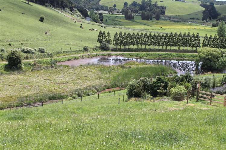 67 Rukuwai Road Parua Bay_18