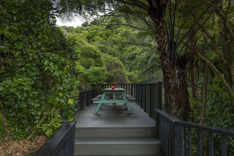 10 Durham Street Aro Valley_9