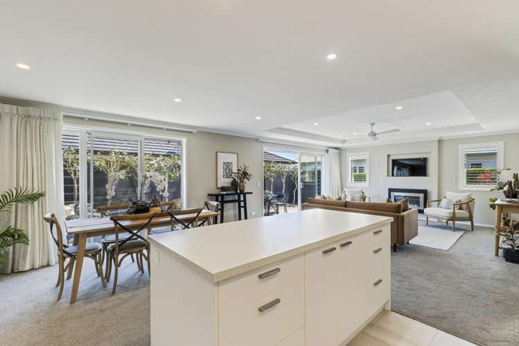 175A Carrington Street Lower Vogeltown_15