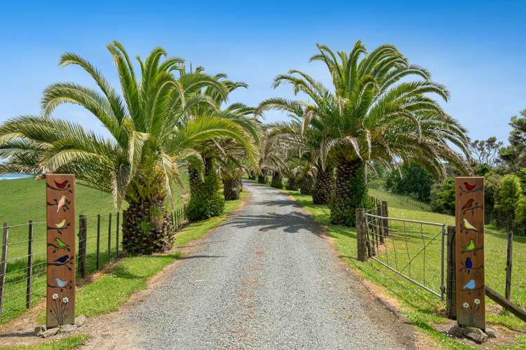 85 Jordan Road Kaukapakapa_5