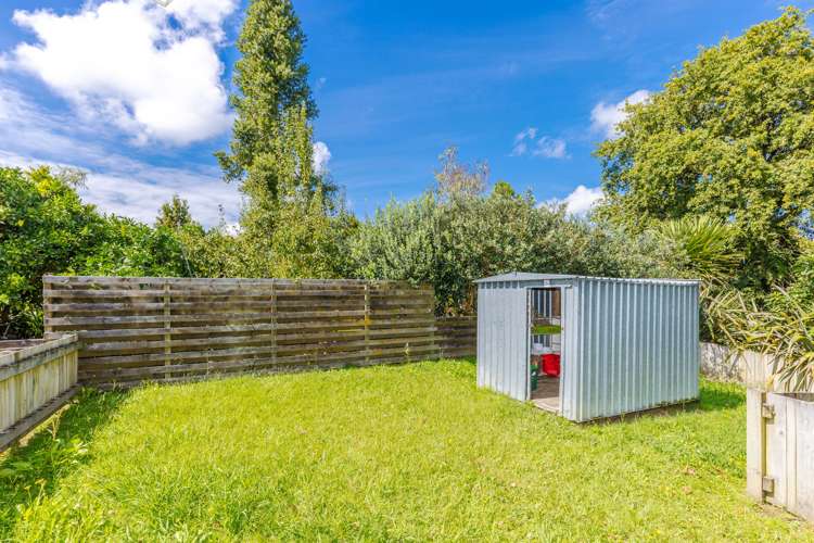 31a Lewis Street Glenview_12