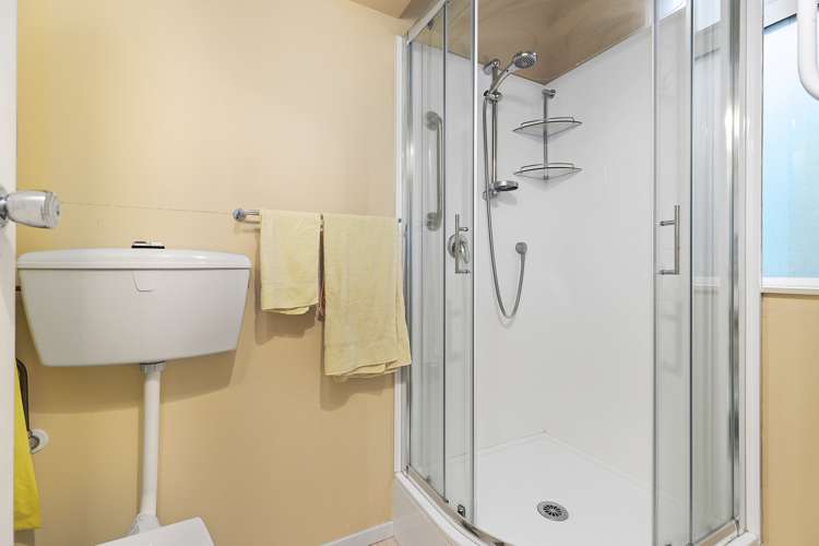 2d/20 Maarama Crescent Aro Valley_7