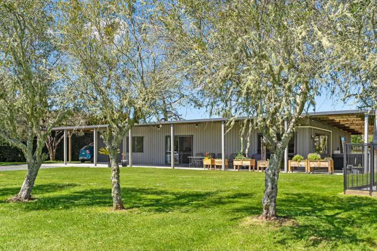83 Waitangi Road Kiripaka_28