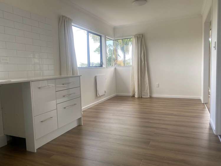 68A Newhaven Terrace Mairangi Bay_11