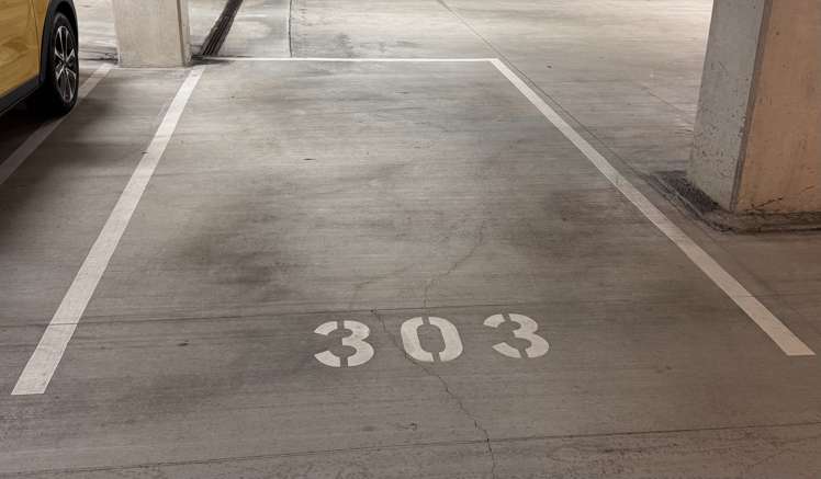 303/40 Library Lane Albany_9