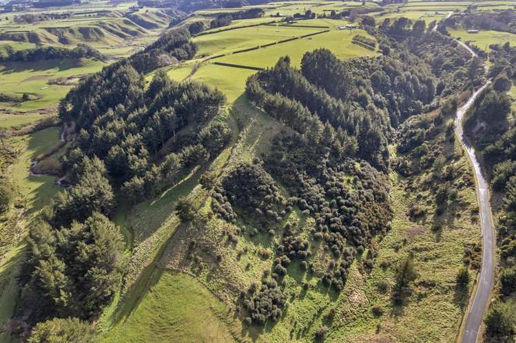 0n Whakamara Road Manutahi_14