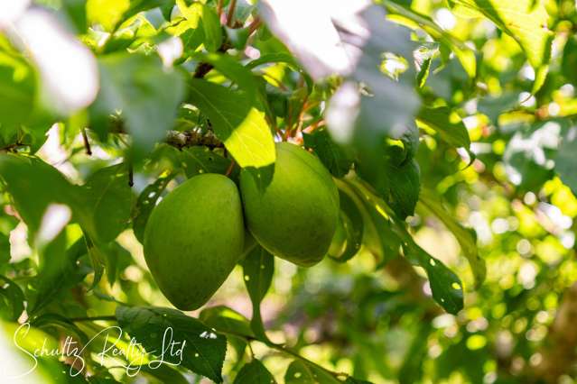 71 Gorge Road Maungaturoto_4