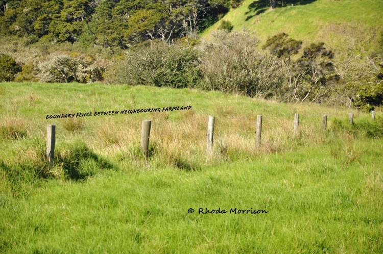 113 Te Rawhiti Road Matakohe_46