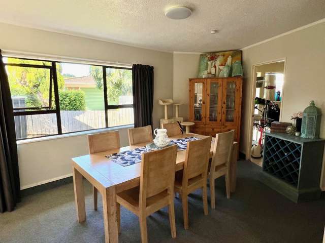 19 Green Lane Pukekohe_3