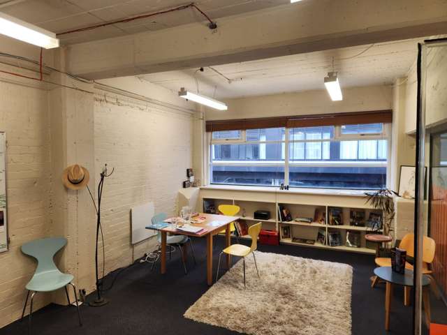 Mezzanine/104 Vivian Street Te Aro_2