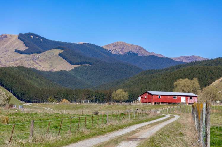 3487 State Highway 63 Wairau Valley_2