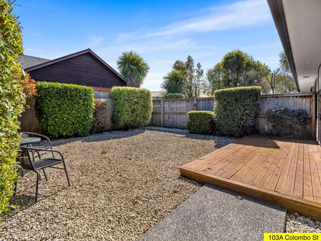 103 Colombo Street Somerfield_3